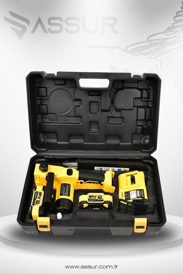 Assur 21V Çift Akülü Testere Ağaç Odun Dal Kesme Motoru