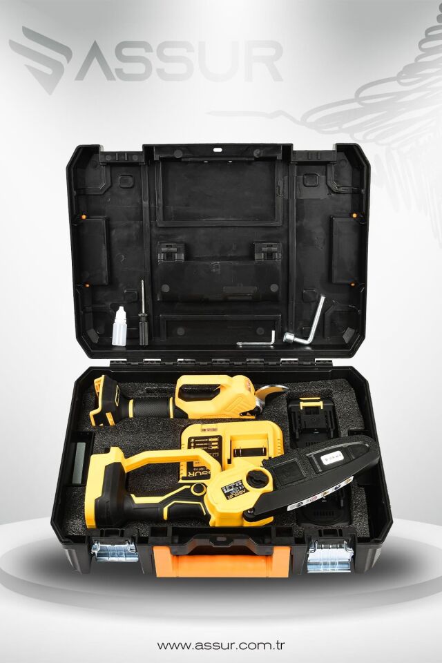 Assur Profesyonel 2'li Set 18V Çift Akülü Bağ Makası ve Budama Testeresi Makinesi