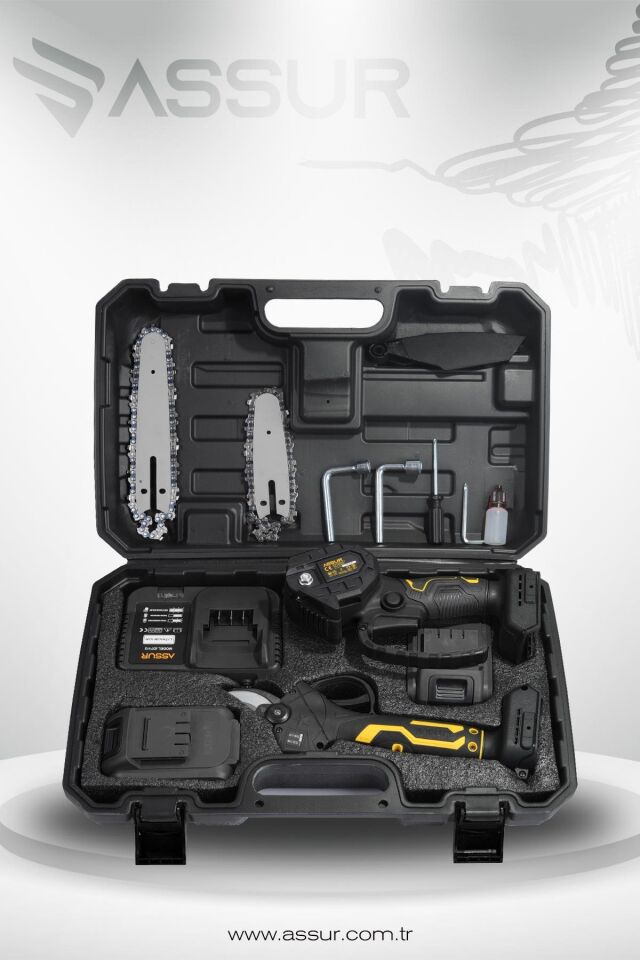 Assur Profesyonel 2'li Set 18V Çift Akülü Teleskopik Kollu Bağ Makası ve Budama Testeresi Makinesi